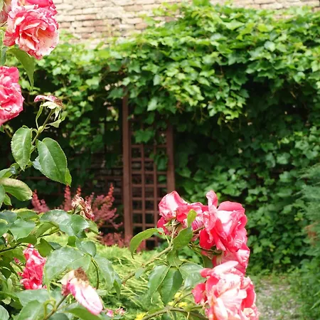 Jablonie I Grusze Hébergement de vacances