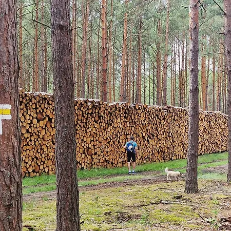Jablonie I Grusze Piła